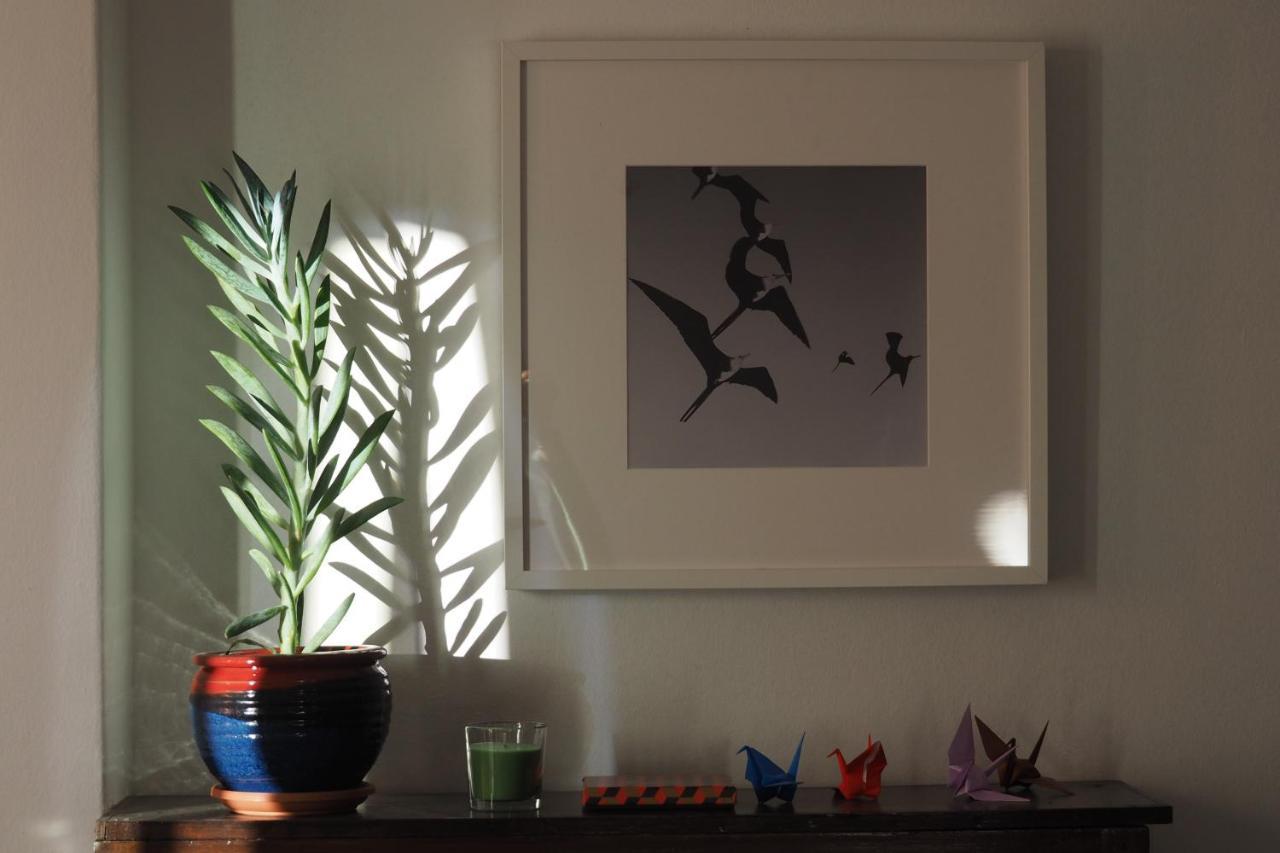 Cicada 'S Song Apartment เอเธนส์ ภายนอก รูปภาพ
